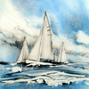 Regata_thumb
