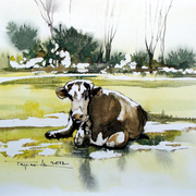 Siesta_card