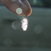 Img_8447_card