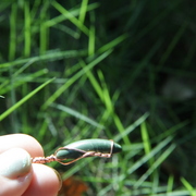 Img_8449_card