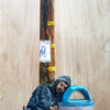 Sleeping_beauty_2012_brandon_roth_lores_thumb