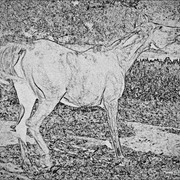 Img_6364_card