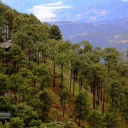 Img_1514-2_card