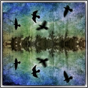 Reflextions_card