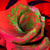 Thorny_rose_thumb