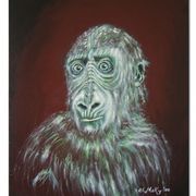 Affe_mittelhp_card