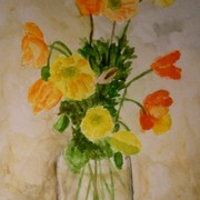 R_poppies_card