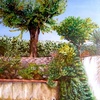 Primavera_nel_giardino_di_enza_thumb