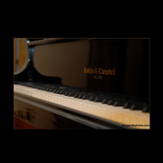 Mocha_keys600_card
