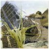Faz-03_thumb