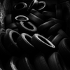B_w__tires__2__thumb