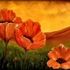 100_7182_thumb