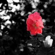 Img_7167_card