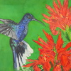 Hummingbird_thumb