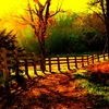 1_p_fence_golden_thumb