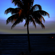 Florida_keys_state_of_mind_card
