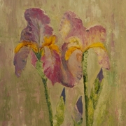 Irisi1_card