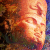 Stargazersmall_thumb