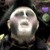 Interpretaci_n_tiny_square