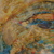 Dsc02582_tiny_square
