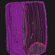 2006_374_card
