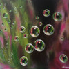 Bubbles_thumb