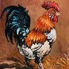 Flat_800x800_070_f_thumb