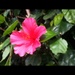 Image_square