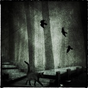Cs2_card