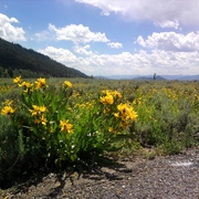 Photo0369_card