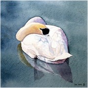 333_jw_card
