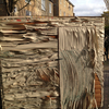 Shed3_thumb