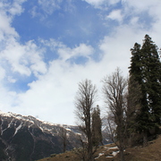 Img_0767_card