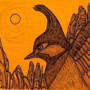 White_cheeked_bulbul_card