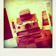 Pola-pola_card