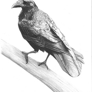 Nevermore_card