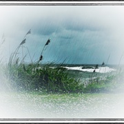 Beach_vin_card