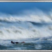 Surfer_card