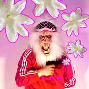Yetiflower_gjyd2008_card