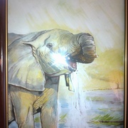 Elephant_card