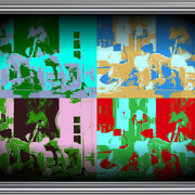 Human_cannonball_card