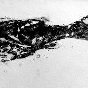Headless-fish_card