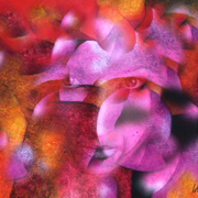 Labyrinth_card