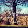 Image_thumb
