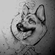 Dsc00390_card