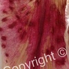 Image_thumb