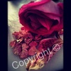 Image_thumb
