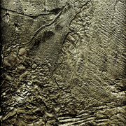 164_____life_is_everywhere_______21x21oilwood_____2012