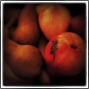 Photo_snapseed_card