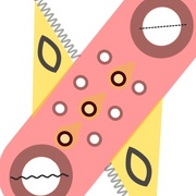 Image_card